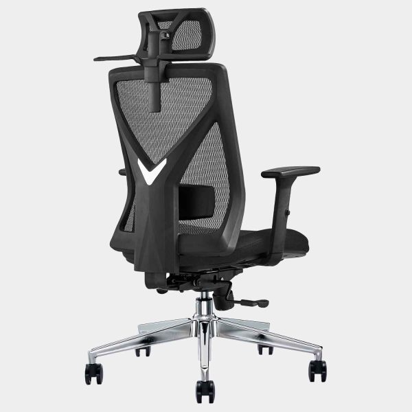 เก้าอี้ทำงานสุขภาพ, เก้าอี้สุขภาพ, เก้าอี้ Ergonomics, เก้าอี้ทำงานเพื่อสุขภาพ