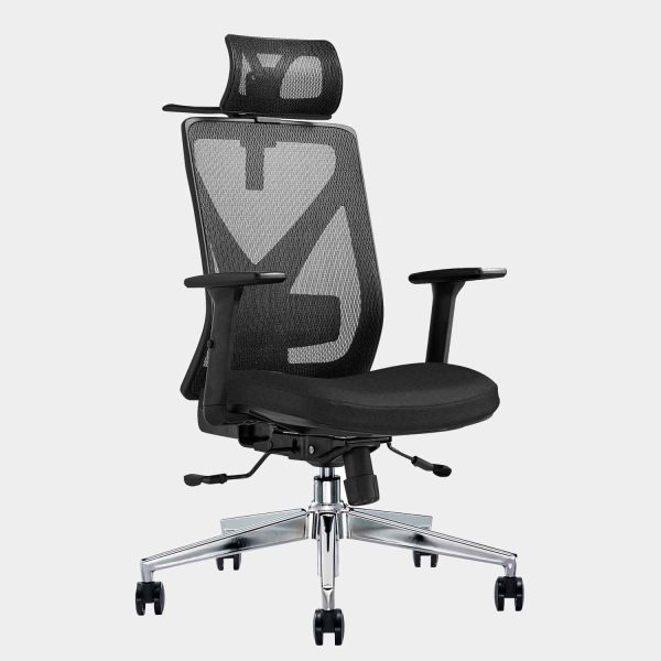 เก้าอี้ทำงานสุขภาพ, เก้าอี้สุขภาพ, เก้าอี้ Ergonomics, เก้าอี้ทำงานเพื่อสุขภาพ