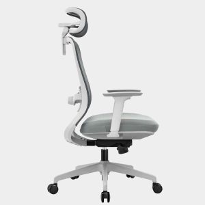 เก้าอี้ทำงาน, เก้าอี้ทำงานสุขภาพ, เก้าอี้สำนักงานสุขภาพ, เก้าอี้ Ergonomics