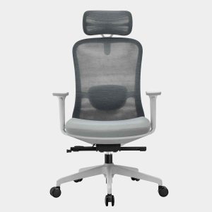 เก้าอี้ทำงาน, เก้าอี้ทำงานสุขภาพ, เก้าอี้สำนักงานสุขภาพ, เก้าอี้ Ergonomics