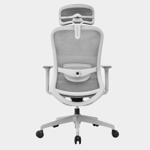 เก้าอี้ทำงาน, เก้าอี้ทำงานสุขภาพ, เก้าอี้สำนักงานสุขภาพ, เก้าอี้ Ergonomics