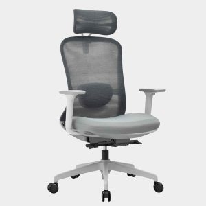 เก้าอี้ทำงาน, เก้าอี้ทำงานสุขภาพ, เก้าอี้สำนักงานสุขภาพ, เก้าอี้ Ergonomics